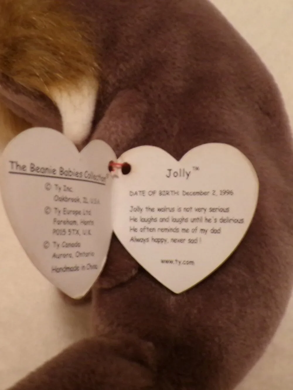 TY Beanie Baby - JOLLY the Walrus 1996